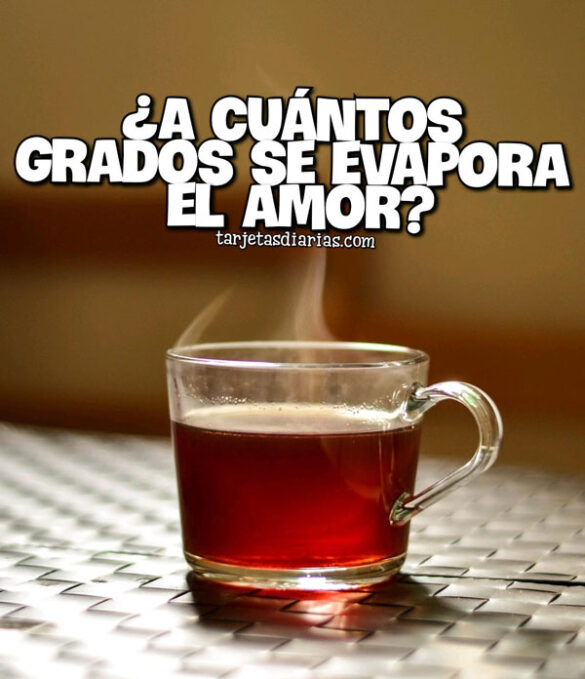 ¿A CUÁNTOS GRADOS SE EVAPORA EL AMOR?