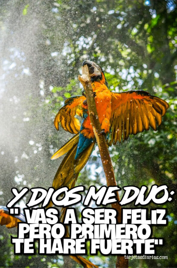 DIOS ME DIJO VAS A SER FELIZ