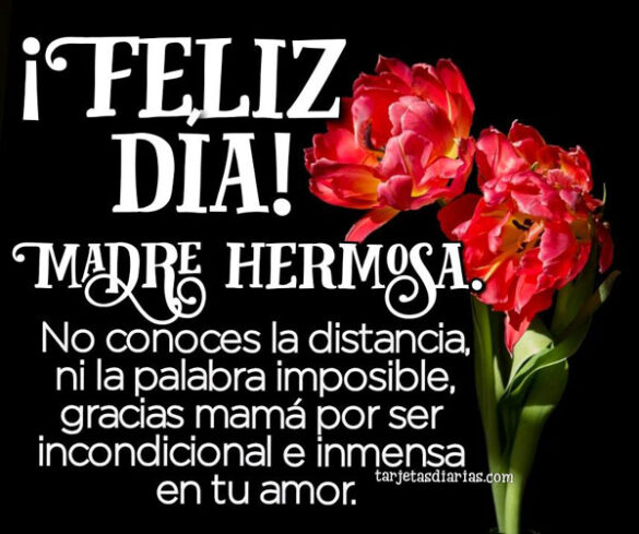 feliz día madre hermosa
