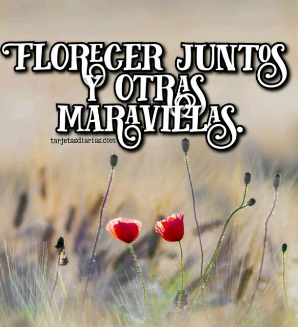 FLORECER JUNTOS Y OTRAS MARAVILLAS