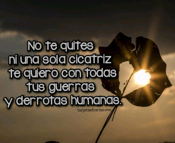 TE QUIERO CON TODAS TUS GUERRAS Y DERROTAS