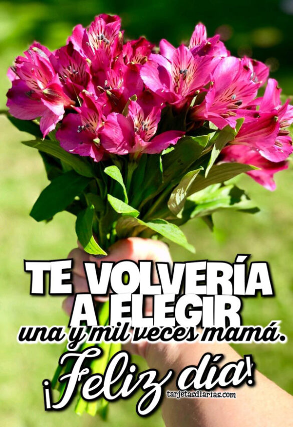 TE VOLVERÍA A ELEGIR UNA Y MIL VECES MAMÁ