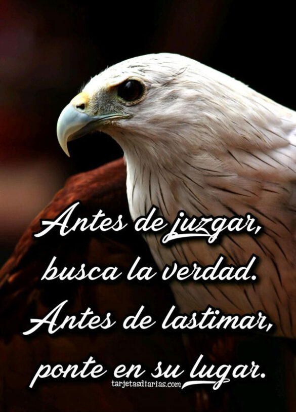 ANTES DE JUZGAR, BUSCA LA VERDAD. ANTES DE LASTIMAR PONTE EN SU LUGAR