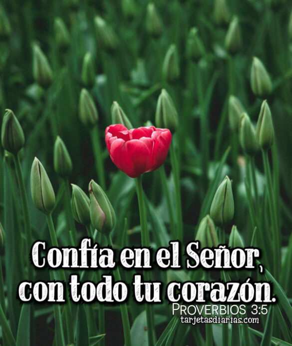 CONFÍA EN EL SEÑOR CON TODO TU CORAZÓN Proverbios 2:5