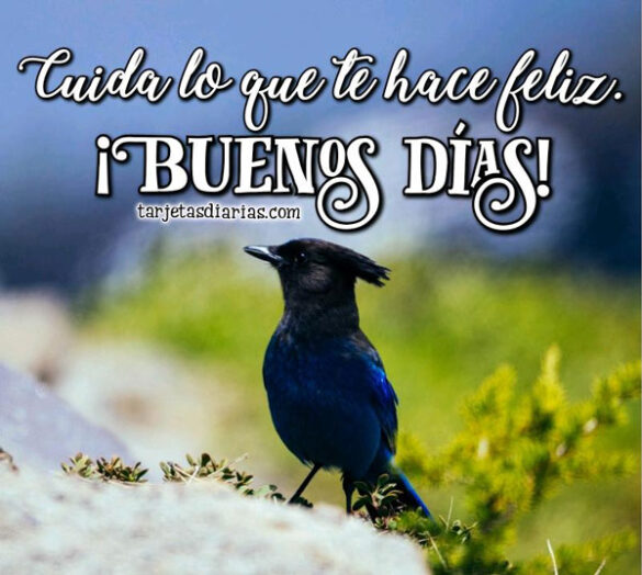 CUIDA LO QUE TE HACE FELIZ ¡BUENOS DÍAS!
