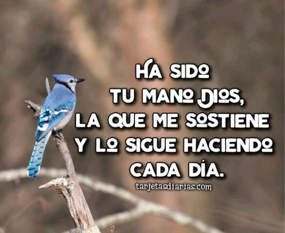 HA SIDO TU MANO DIOS LA QUE ME SOSTIENE