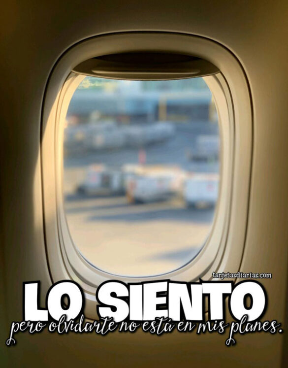 OLVIDARTE NO ESTÁ EN MIS PLANES