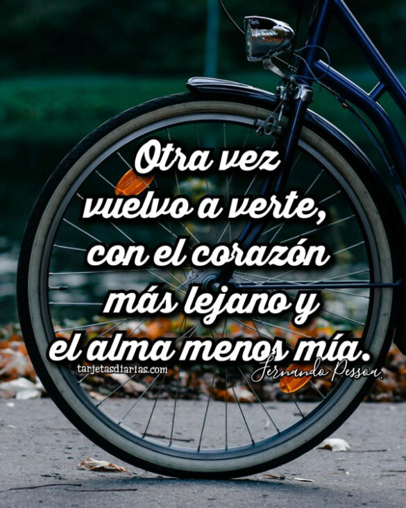 OTRA VEZ VUELVO A VERTE CON EL CORAZÓN MÁS LEJANO Y EL ALMA MENOS MÍA