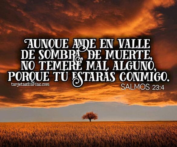 AUNQUE ANDE EN VALLE DE SOMBRA, DE MUERTE, NO TEMERÉ MAL ALGUNO, PORQUE ...