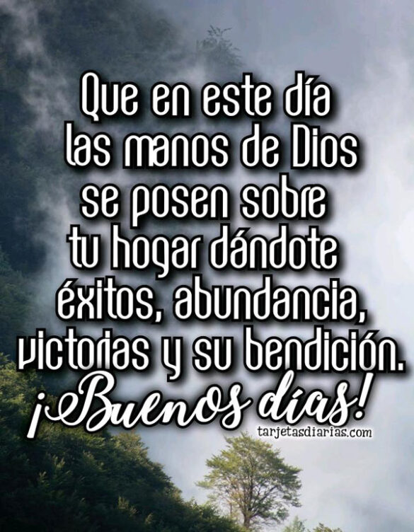 ¡BUENOS DÍAS! QUE EN ESTE DÍA LAS MANOS DE DIOS SE POSEN SOBRE TI