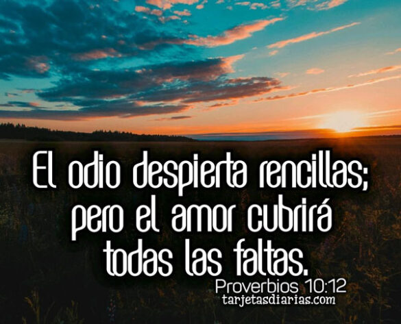 EL ODIO DESPIERTA RENCILLAS, PERO EL AMOR CUBRIRÁ TODAS LAS FALTAS Proverbios 10:12