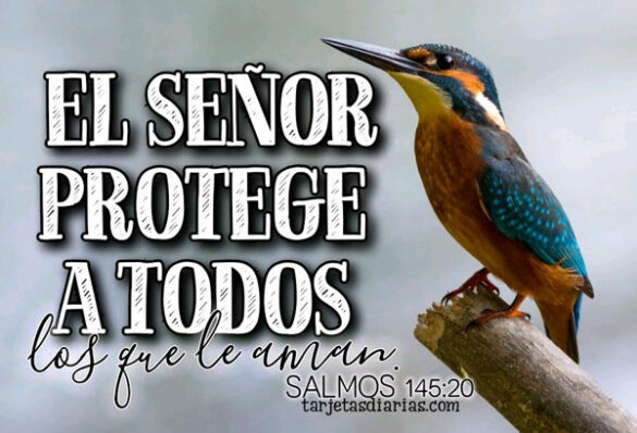 EL SEÑOR PROTEGE A TODOS LOS QUE LE AMAN SALMOS 145:20