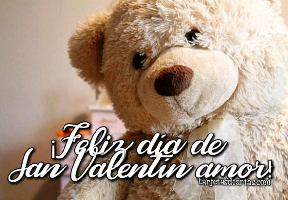 ¡FELIZ DÍA DE SAN VALENTÍN AMOR!