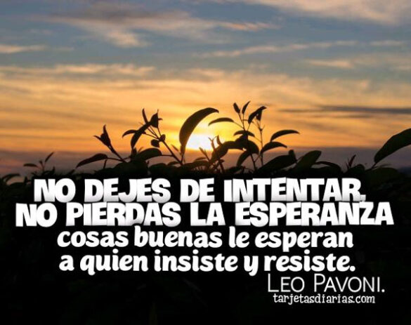 NO DEJES DE INTENTAR NO PIERDAS LA ESPERANZA, COSAS BUENAS LE PASAN A QUIEN INSISTE Y RESISTE