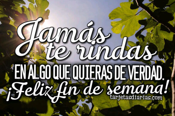 JAMÁS TE RINDAS EN ALGO QUE QUIERAS DE VERDAD ¡FELIZ FIN DE SEMANA!