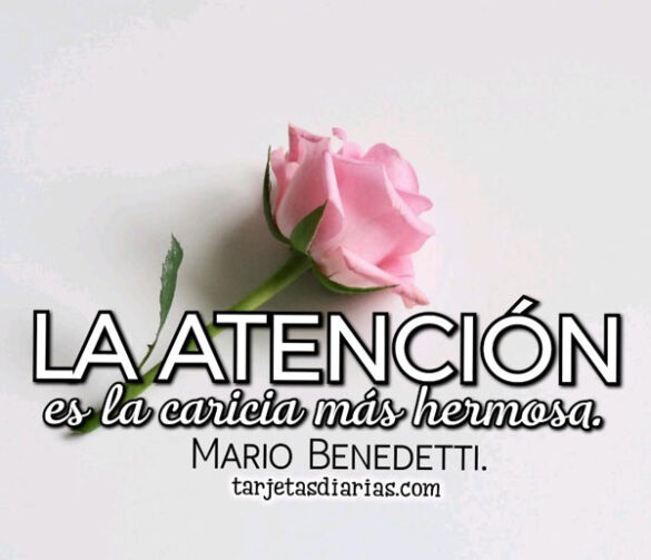 LA ATENCIÓN ES LA CARICIA MÁS HERMOSA