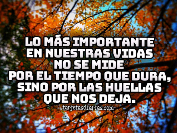 LO MÁS IMPORTANTE EN NUESTRAS VIDAS NO SE MIDE POR EL TIEMPO QUE DURA, SINO POR LAS HUELLAS QUE DEJA