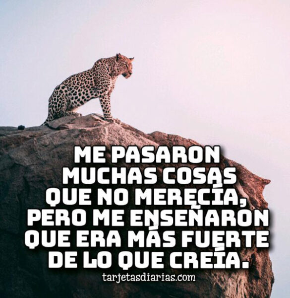 ME PASARON MUCHAS COSAS QUE NO MERECÍA, PERO ME ENSEÑARON QUE ERA MAS FUERTE DE LO QUE CREÍA