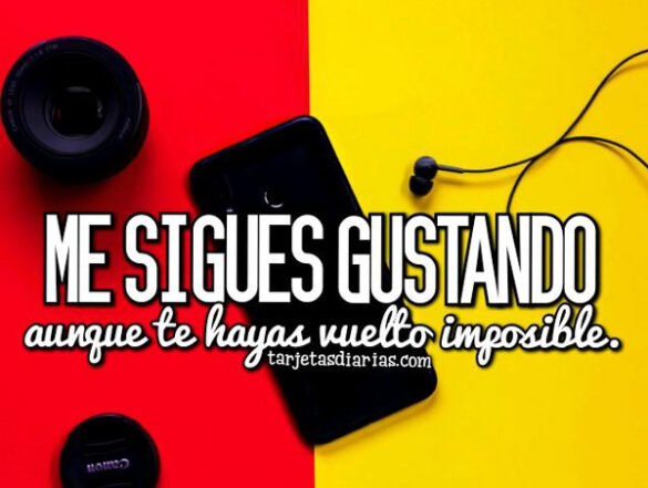ME SIGUES GUSTANDO AUNQUE TE HAYAS VUELTO IMPOSIBLE