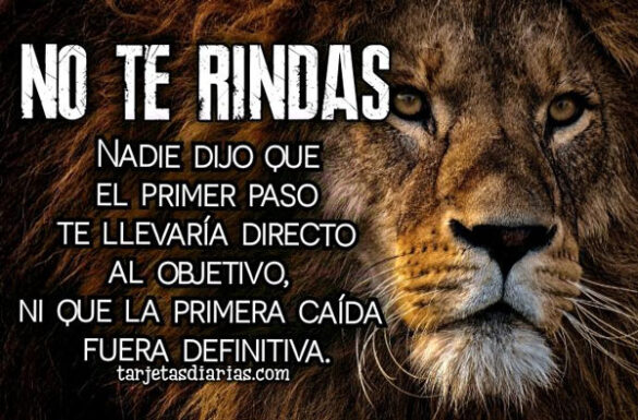 NO TE RINDAS, EL PRIMER PASO NO TE LLEVARÁ DIRECTO AL OBJETIVO NI LA PRIMERA CAÍDA ES DEFINITIVA