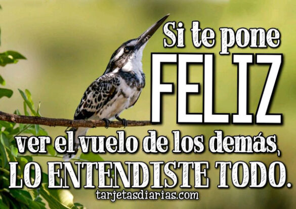 SI TE PONE FELIZ VER EL VUELO DE LOS DEMÁS, LO ENTENDISTE TODO