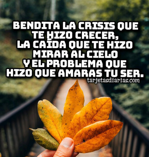 BENDITA LA CRISIS QUE TE HIZO CRECER, LA CAÍDA Y EL PROBLEMA QUE HIZO QUE AMARAS TU SER