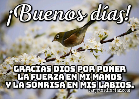 ¡BUENOS DÍAS! GRACIAS DIOS POR PONER LA FUERZA EN MIS MANOS Y LA SONRISA EN MIS LABIOS