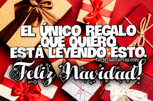 EL ÚNICO REGALO QUE QUIERO ESTÁ LEYENDO ESTO ¡FELIZ NAVIDAD!