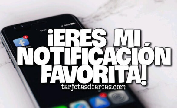 ¡ERES MI NOTIFICACIÓN FAVORITA!