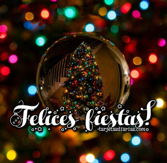 ¡FELICES FIESTAS!