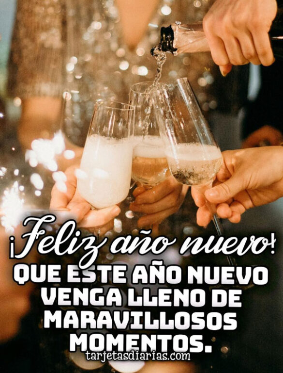 ¡FELIZ AÑO NUEVO! Y QUE VENGA LLENO DE MARAVILLOSOS MOMENTOS