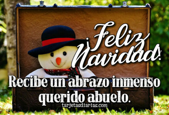 ¡FELIZ NAVIDAD! RECIBE UN ABRAZO INMENSO QUERIDO ABUELO