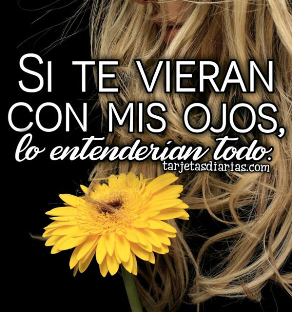 SI TE VIERAN CON MIS OJOS, LO ENTENDERÍAN TODO