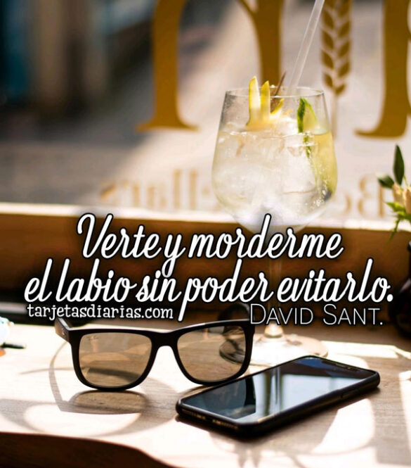 VERTE Y MORDERME EL LABIO SIN PODER EVITARLO