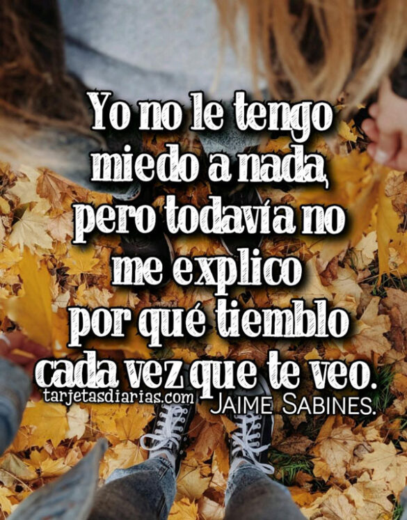 YO NO LE TENGO MIEDO A NADA, PERO TODAVIA NO ME EXPLICO POR QUÉ TIEMBLO CADA VEZ QUE TE VEO