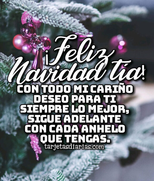 ¡FELIZ NAVIDAD TÍA! CON TODO MI CARIÑO DESEO PARA TI SIEMPRE LO MEJOR