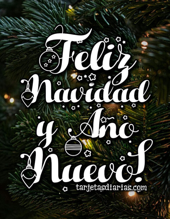 FELIZ NAVIDAD Y AÑO NUEVO