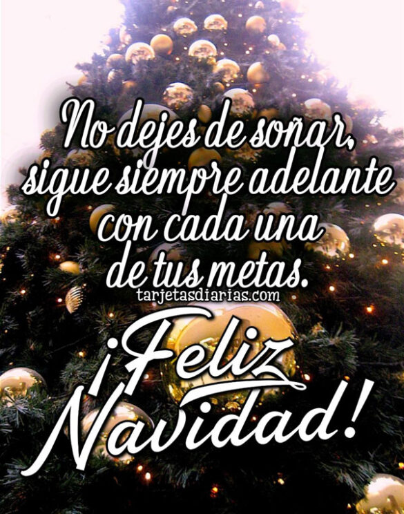 NO DEJES DE SOÑAR, SIGUE SIEMPRE ADELANTE CON CADA UNA DE TUS METAS ¡FELIZ NAVIDAD!