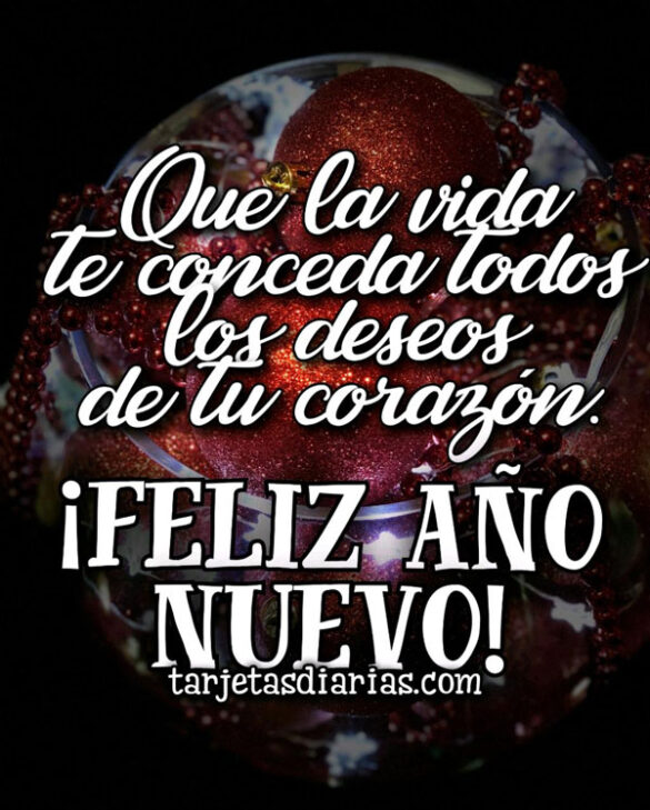 QUE LA VIDA TE CONCEDA TODOS LOS DESEOS DE TU CORAZÓN ¡FELIZ AÑO NUEVO!