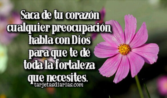SACA DE TU CORAZÓN CUALQUIER PREOCUPACIÓN, HABLA CON DIOS PARA QUE TE DÉ TODA LA FORTALEZA QUE NECESITES