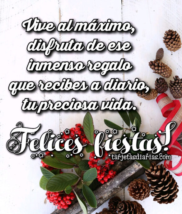 VIVE AL MÁXIMO DISFRUTA DE ESE INMENSO REGALO QUE RECIBES A DIARIO, TU PRECIOSA VIDA ¡FELICES FIESTAS!