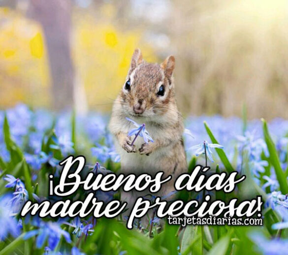¡BUENOS DÍAS MADRE PRECIOSA!