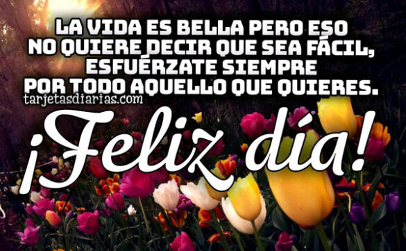 ESFUÉRZATE SIEMPRE POR TODO AQUELLO QUE QUIERES ¡FELIZ DÍA!