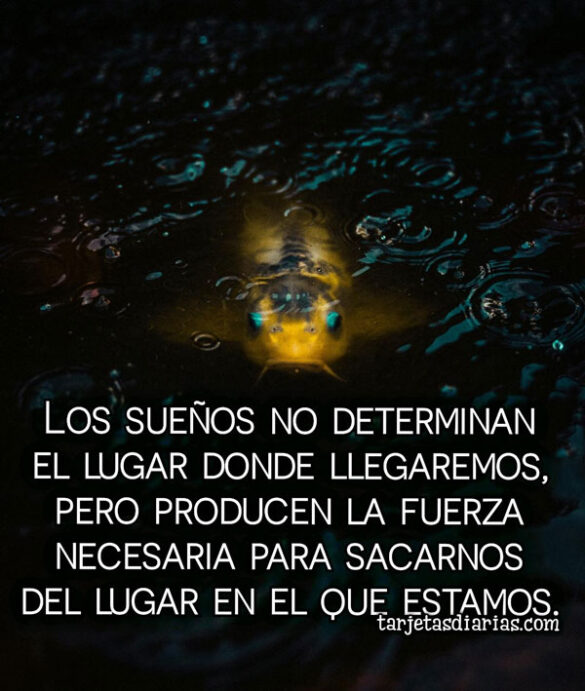 LOS SUEÑOS NO DETERMINAN EL LUGAR DONDE LLEGAREMOS, PRODUCEN LA FUERZA NECESARIA PARA SACARNOS DEL LUGAR EN EL QUE ESTAMOS