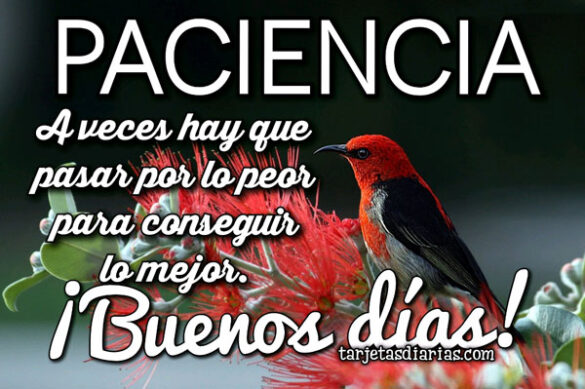 PACIENCIA A VECES HAY QUE PASAR POR LO PEOR PARA CONSEGUIR LO MEJOR ¡BUENOS DÍAS!