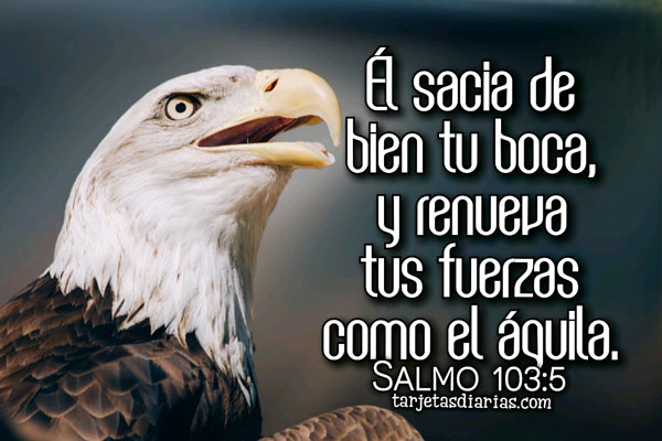 Salmos 103:5 - el que sacia con bien tus anhelos, de modo que te  rejuvenezcas como el águila. - Bíblia
