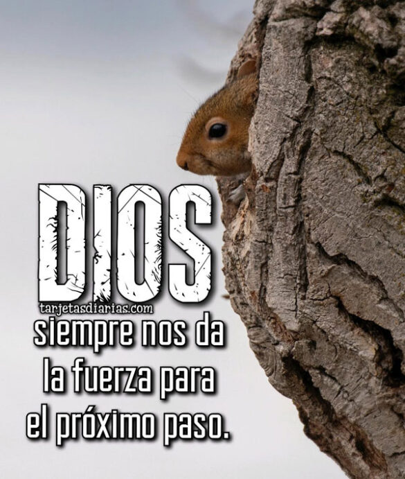 DIOS SIEMPRE NOS DA LA FUERZA PARA EL PRÓXIMO PASO
