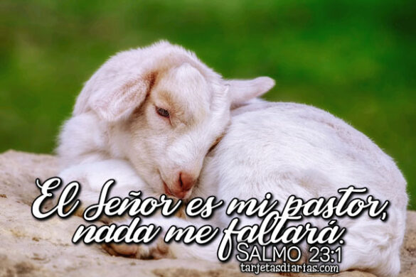 EL SEÑOR ES MI PASTOR, NADA ME FALTARÁ. SALMO 23:1 - Tarjetas Diarias