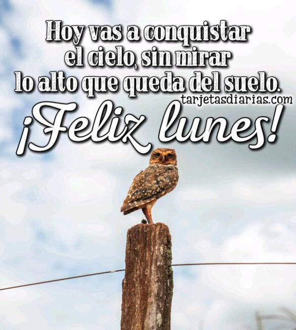 HOY VAS A CONQUISTAR EL CIELO SIN MIRAR LO ALTO QUE QUEDA DEL SUELO ¡FELIZ LUNES!