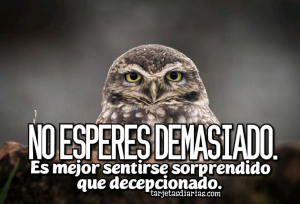 NO ESPERES DEMASIADO, ES MEJOR SENTIRSE SORPRENDIDO QUE DECEPCIONADO